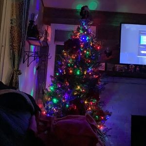 Meet your Posher, Annamarie